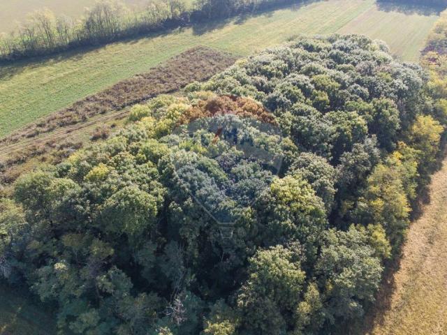 Terreno in vendita a Cambiago, Lombardia