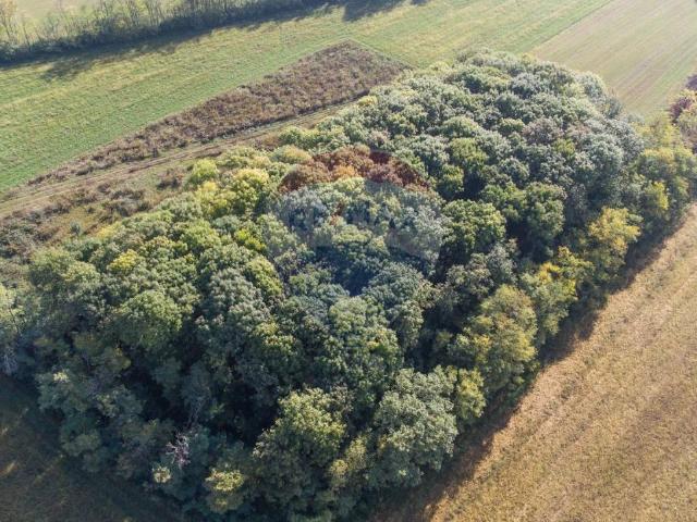 Terreno in vendita a Cambiago, Lombardia