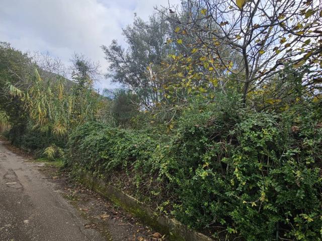 Terreno in vendita a Camigliano, Campania
