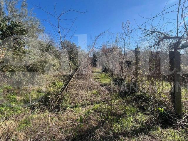 Terreno in vendita a Camigliano, Campania