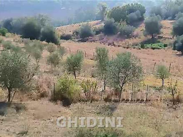 Terreno in vendita a Campagnatico, Toscana
