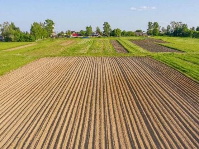 Terreno in vendita a Campi Bisenzio, Toscana