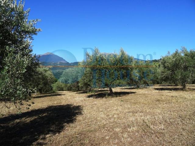 Terreno in vendita a Molviano Alto, Campli