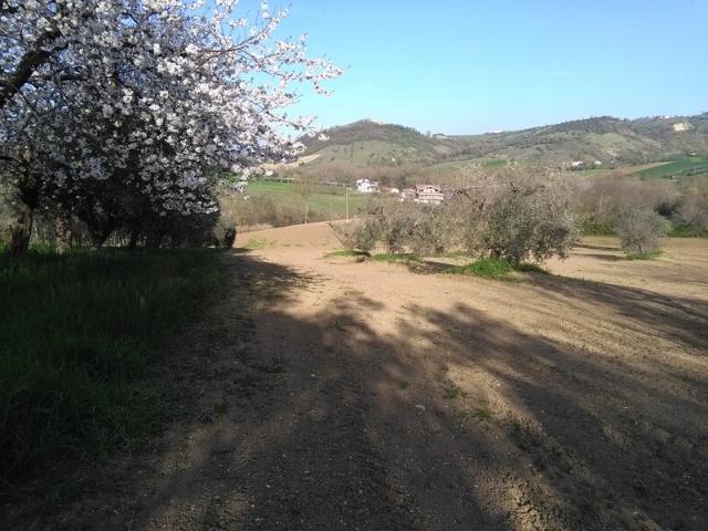 Terreno in vendita a Unione dei Comuni della Val Vibrata, Civitella Del Tronto