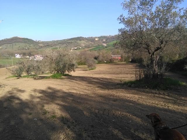 Terreno in vendita a Unione dei Comuni della Val Vibrata, Civitella Del Tronto