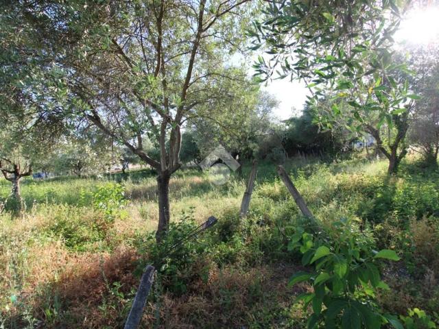 Terreno in vendita a San Giovanni, Campobasso