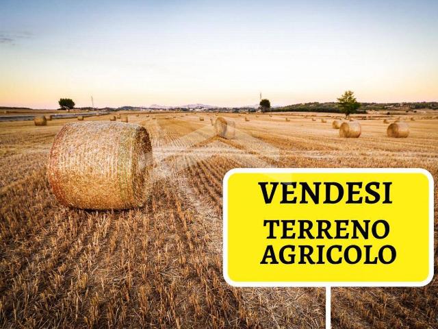 Terreno in vendita a Campobasso, Molise
