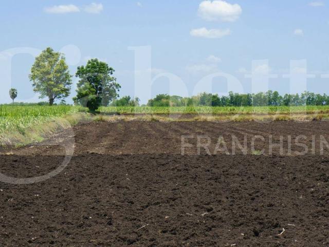 Terreno in vendita a Campoverardo, Camponogara