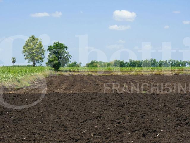 Terreno in vendita a Campoverardo, Camponogara