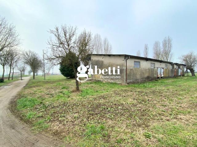 Terreno in vendita a Candiana, Veneto