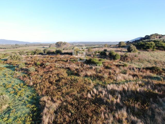 Terreno in vendita a Canino, Lazio