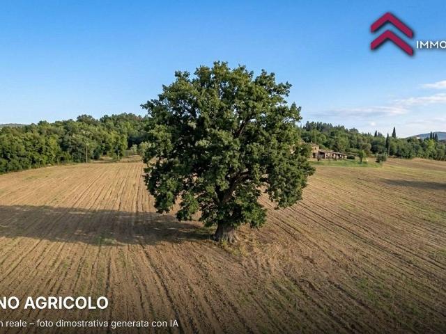 Terreno in vendita a Canino, Viterbo