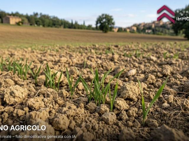 Terreno in vendita a Canino, Viterbo