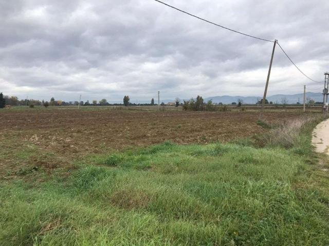 Terreno in vendita a Cannara, Umbria