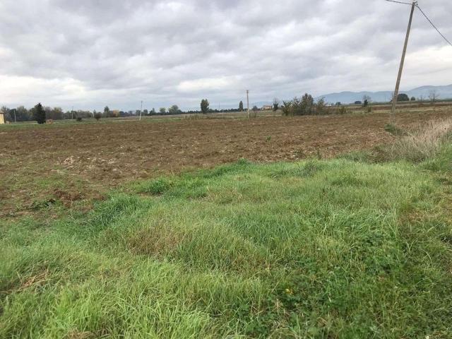 Terreno in vendita a Cannara, Umbria