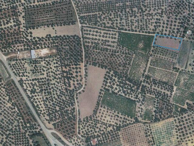 Terreno in vendita a Puglia, Barletta-andria-trani