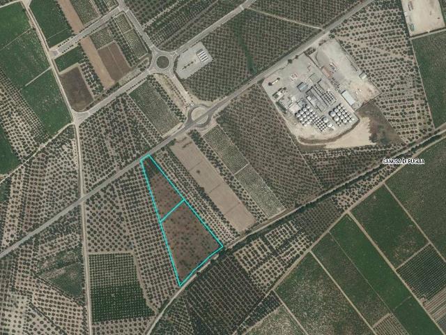 Terreno in vendita a Puglia, Barletta-andria-trani