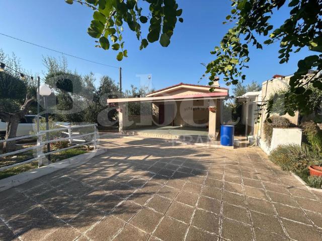 Terreno in vendita a Puglia, Barletta-andria-trani