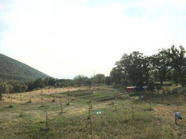 Terreno in vendita a Capaccio, Campania