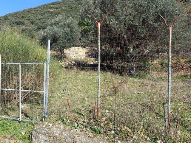 Terreno in vendita a Capaccio, Campania