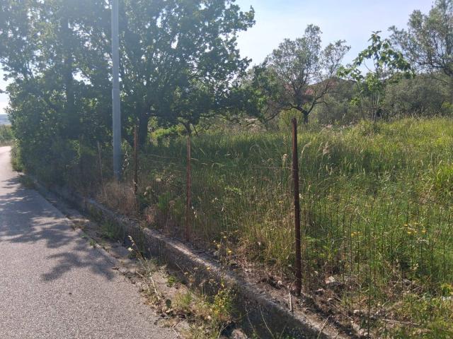 Terreno in vendita a Capaccio, Campania