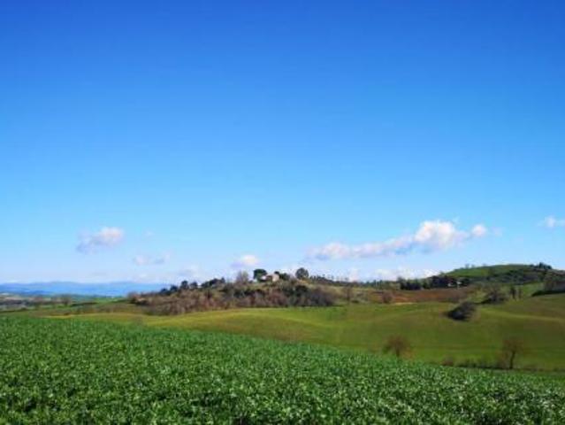 Terreno in vendita a Capalbio, Toscana