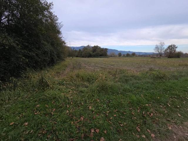 Terreno in vendita a Zone, Capannori