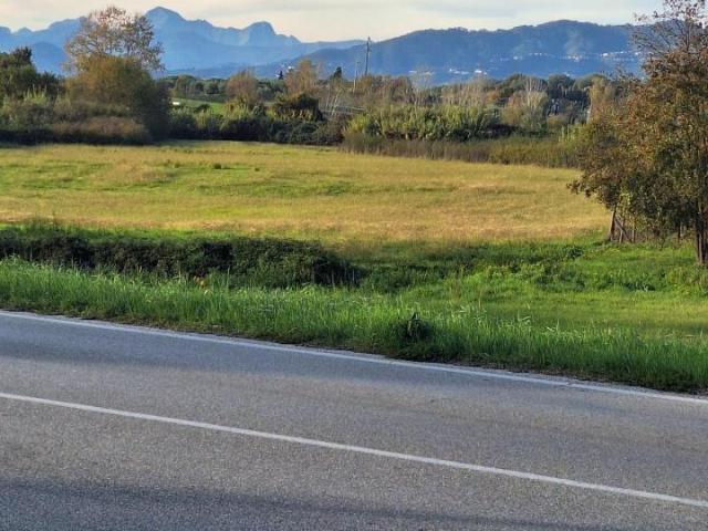 Terreno in vendita a San Martino in Colle, Capannori