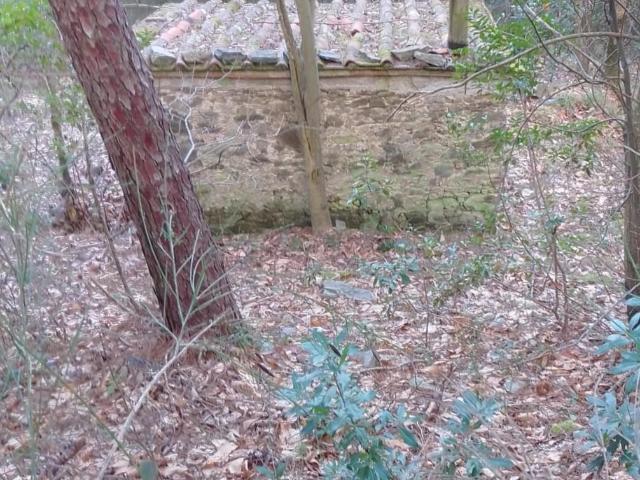 Terreno in vendita a Capannori, Lucca