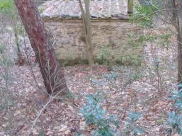 Terreno in vendita a Capannori, Toscana
