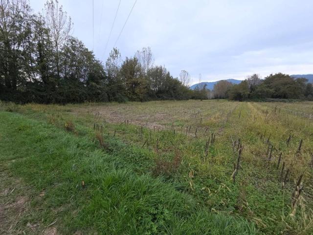 Terreno in vendita a Zone, Capannori