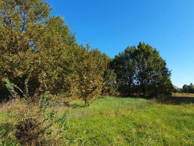 Terreno in vendita a Capannori, Toscana