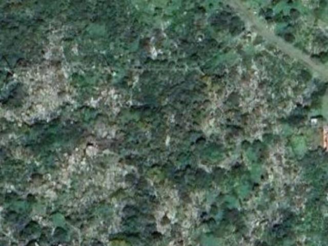 Terreno in vendita a Capraia Isola, Toscana