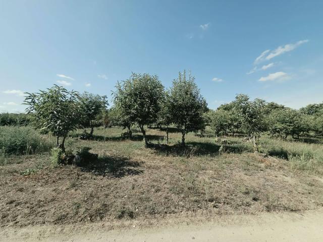 Terreno in vendita a Caprarola, Viterbo