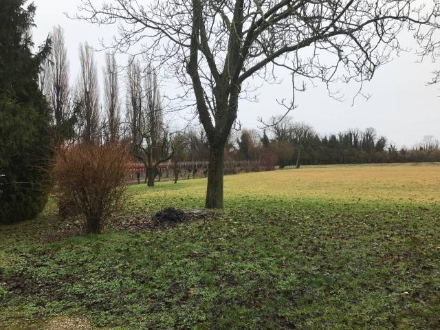 Terreno in vendita a Carbonera, Veneto