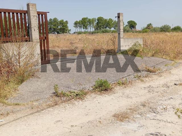 Terreno in vendita a Francofonte, Sicilia