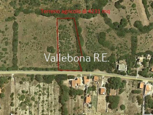 Terreno in vendita a Carloforte, Sardigna/Sardegna