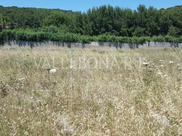Terreno in vendita a Giunco, Carloforte