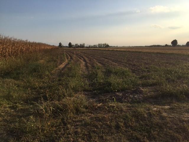 Terreno in vendita a Piemonte, Torino