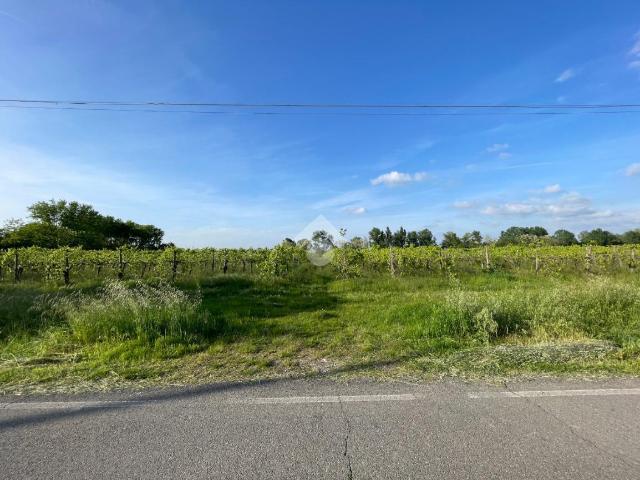 Terreno in vendita a Pianura Reggiana, Re