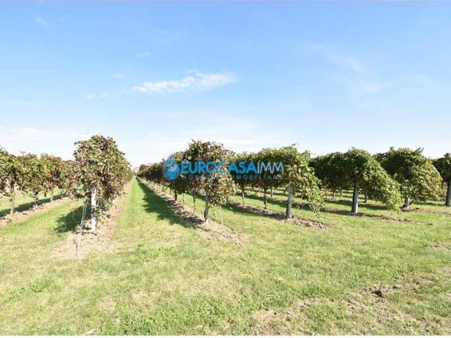 Terreno in vendita a Unione delle Terre d'Argine, Carpi
