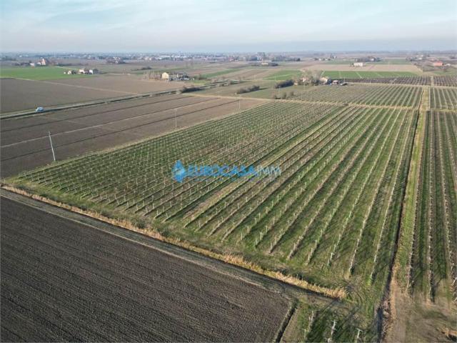 Terreno in vendita a Unione delle Terre d'Argine, Carpi
