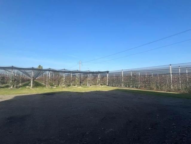 Terreno in vendita a Unione delle Terre d'Argine, Carpi