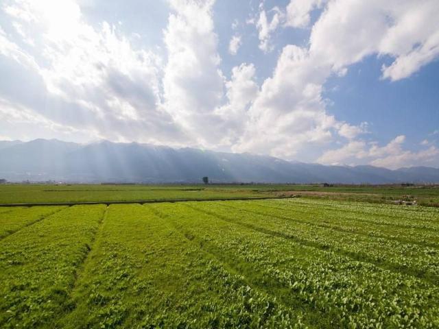 Terreno in vendita a Marina di Carrara, Carrara
