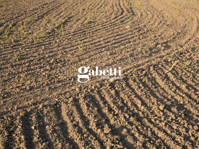 Terreno in vendita a Cartura, Veneto