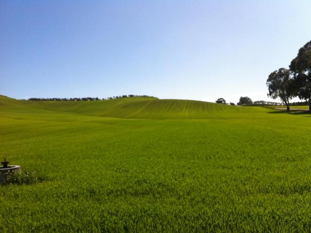 Terreno in vendita a Calabria, Cosenza