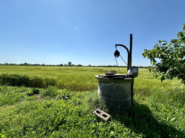 Terreno in vendita a Casalserugo, Veneto