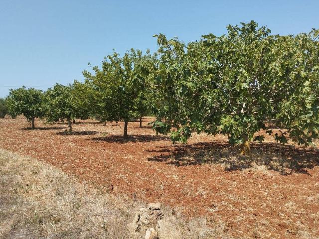 Terreno in vendita a Puglia, Lecce