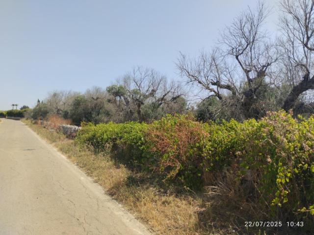 Terreno in vendita a Puglia, Lecce