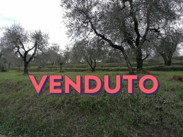 Terreno in vendita a Casciana Terme Lari, Cevoli